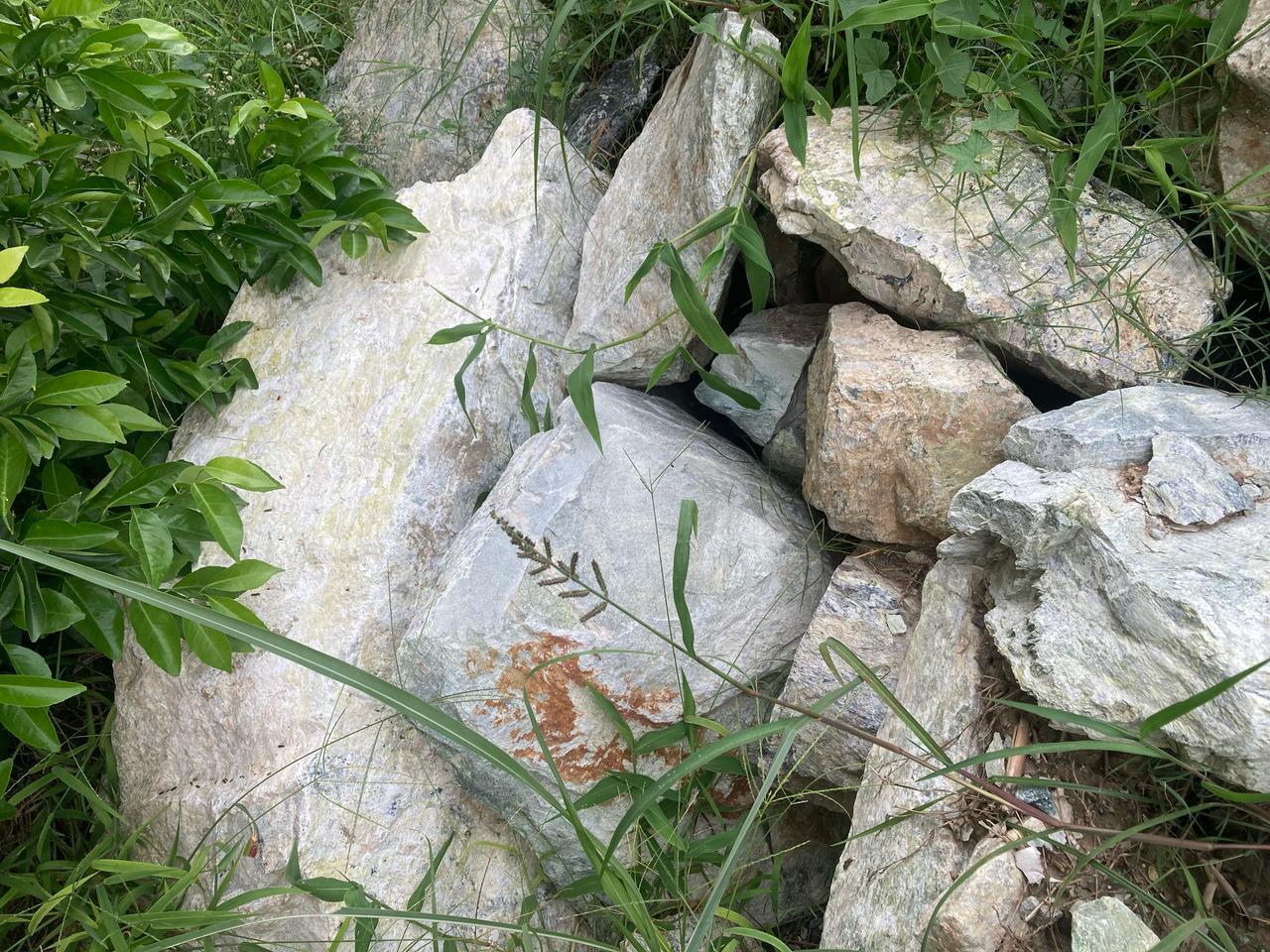 Phosphate rock prepared as feedstock